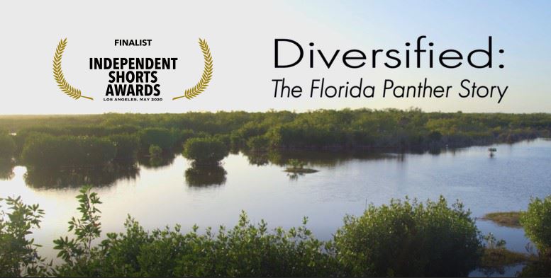 Diversified: The Florida Panther Story